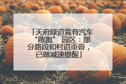 天府绿道竟有汽车“敞跑” 园区：部分路段和村道重叠，已做减速提醒
