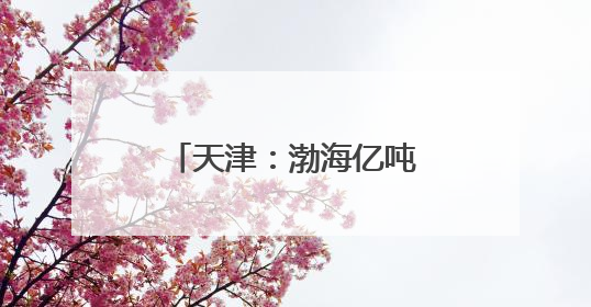 天津：渤海亿吨级油田海上平台陆地建造工作收官