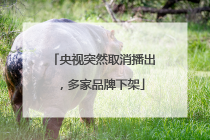 央视突然取消播出，多家品牌下架
