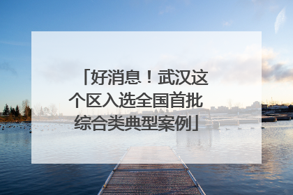 好消息！武汉这个区入选全国首批综合类典型案例