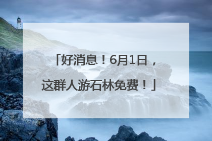 好消息！6月1日，这群人游石林免费！