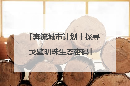 奔流城市计划丨探寻戈壁明珠生态密码