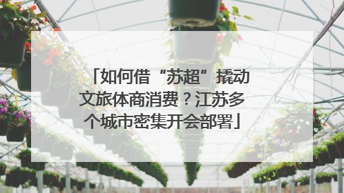如何借“苏超”撬动文旅体商消费？江苏多个城市密集开会部署