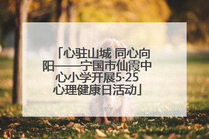 心驻山城 同心向阳——宁国市仙霞中心小学开展5·25心理健康日活动