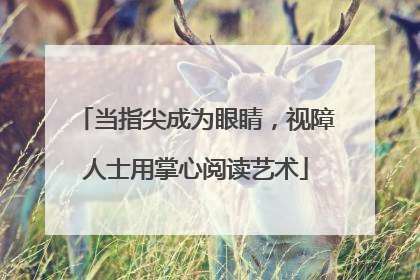 当指尖成为眼睛，视障人士用掌心阅读艺术