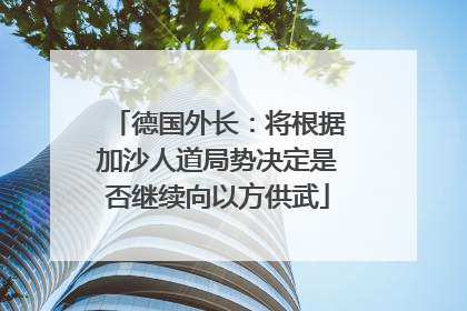 德国外长：将根据加沙人道局势决定是否继续向以方供武