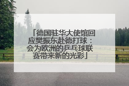 德国驻华大使馆回应樊振东赴德打球：会为欧洲的乒乓球联赛带来新的光彩