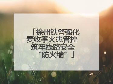 徐州铁警强化麦收季火患管控 筑牢线路安全“防火墙”