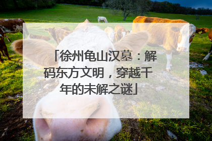 徐州龟山汉墓：解码东方文明，穿越千年的未解之谜