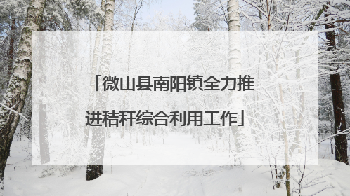 微山县南阳镇全力推进秸秆综合利用工作