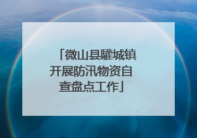 微山县驩城镇开展防汛物资自查盘点工作