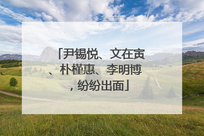 尹锡悦、文在寅、朴槿惠、李明博，纷纷出面