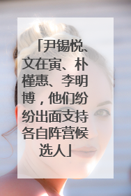 尹锡悦、文在寅、朴槿惠、李明博，他们纷纷出面支持各自阵营候选人
