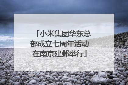 小米集团华东总部成立七周年活动在南京建邺举行
