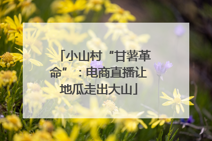 小山村“甘薯革命”：电商直播让地瓜走出大山