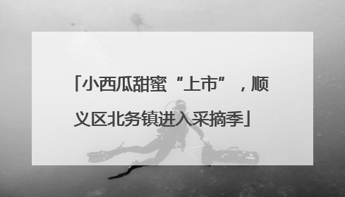 小西瓜甜蜜“上市”，顺义区北务镇进入采摘季