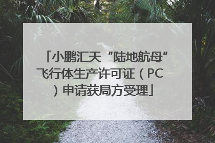 小鹏汇天“陆地航母”飞行体生产许可证（PC）申请获局方受理