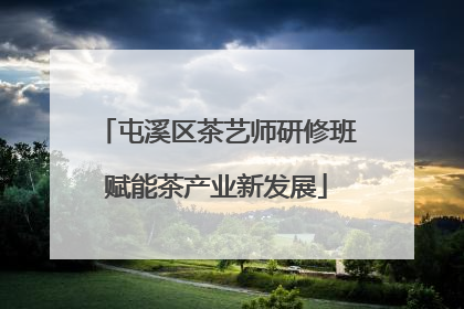 屯溪区茶艺师研修班赋能茶产业新发展