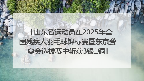 山东省运动员在2025年全国残疾人羽毛球锦标赛暨东京聋奥会选拔赛中斩获3银1铜