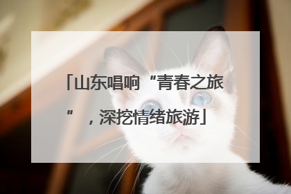 山东唱响“青春之旅”，深挖情绪旅游
