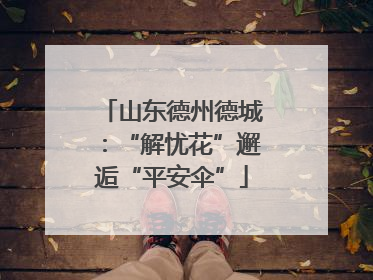 山东德州德城：“解忧花”邂逅“平安伞”