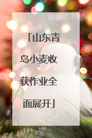 山东青岛小麦收获作业全面展开