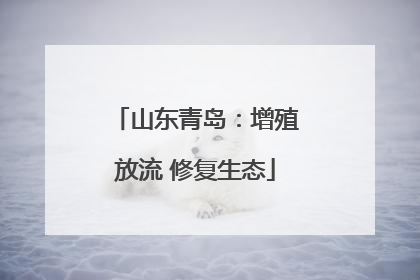 山东青岛：增殖放流 修复生态
