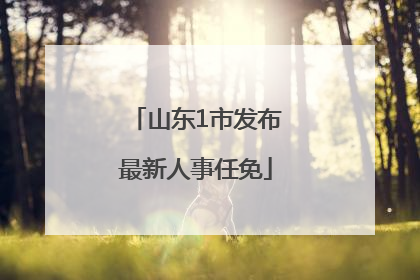 山东1市发布最新人事任免