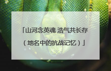 山河念英魂 浩气共长存（地名中的抗战记忆）