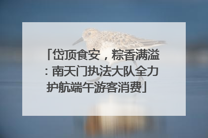 岱顶食安，粽香满溢：南天门执法大队全力护航端午游客消费
