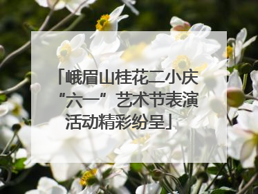 峨眉山桂花二小庆“六一”艺术节表演活动精彩纷呈