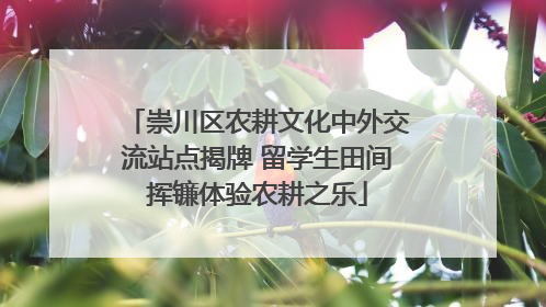 崇川区农耕文化中外交流站点揭牌 留学生田间挥镰体验农耕之乐