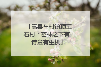嵩县车村镇顶宝石村：密林之下有诗意有生机