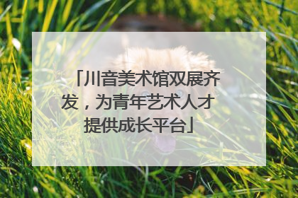 川音美术馆双展齐发，为青年艺术人才提供成长平台