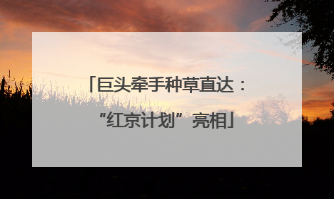 巨头牵手种草直达：“红京计划”亮相