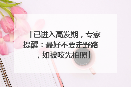 已进入高发期，专家提醒：最好不要走野路，如被咬先拍照