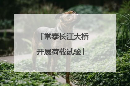 常泰长江大桥开展荷载试验