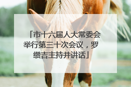 市十六届人大常委会举行第三十次会议，罗缵吉主持并讲话