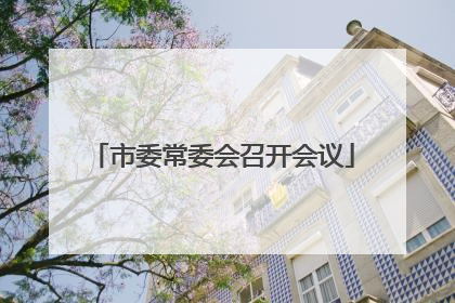 市委常委会召开会议