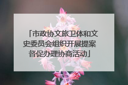 市政协文旅卫体和文史委员会组织开展提案督促办理协商活动