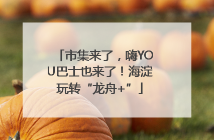 市集来了,嗨YOU巴士也来了!海淀玩转“龙舟+”