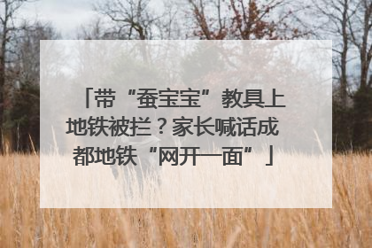 带“蚕宝宝”教具上地铁被拦？家长喊话成都地铁“网开一面”