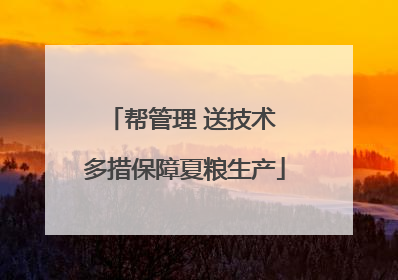 帮管理 送技术 多措保障夏粮生产
