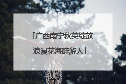 广西南宁秋英绽放 浪漫花海醉游人
