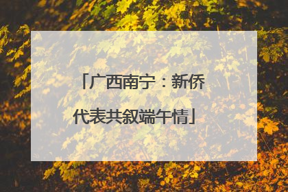 广西南宁：新侨代表共叙端午情