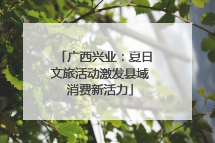 广西兴业：夏日文旅活动激发县域消费新活力