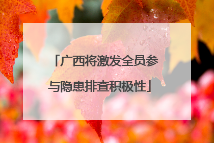 广西将激发全员参与隐患排查积极性