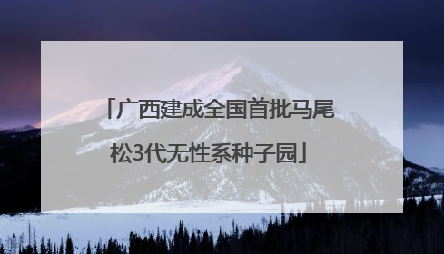 广西建成全国首批马尾松3代无性系种子园