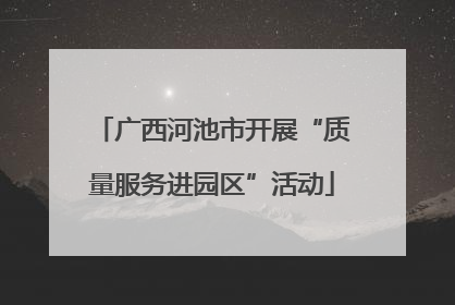 广西河池市开展“质量服务进园区”活动