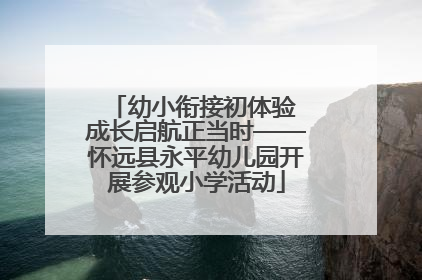 幼小衔接初体验 成长启航正当时——怀远县永平幼儿园开展参观小学活动